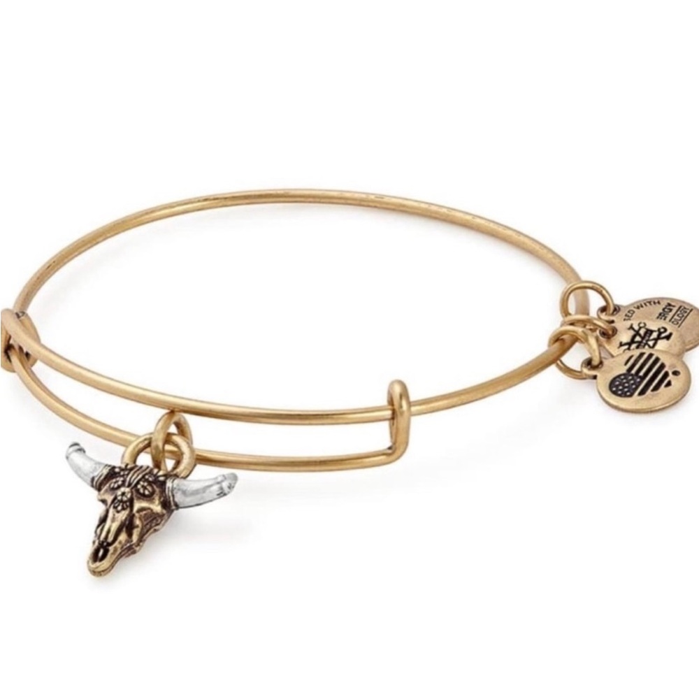 Alex and Ani Bull Skull Charm Bangle Bracelet in Rafaelian Gold Made In USA New